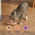 Blink Adult Cat Food Chicken Selection in Gravy 40x85g - Natural Wet FoodKittyMart