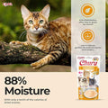 Ciao Churu Cat Treats – Chicken Flavour (48 x 14g) | Soft & Creamy, Grain - Free, High - Moisture Squeezable SnackKittyMart