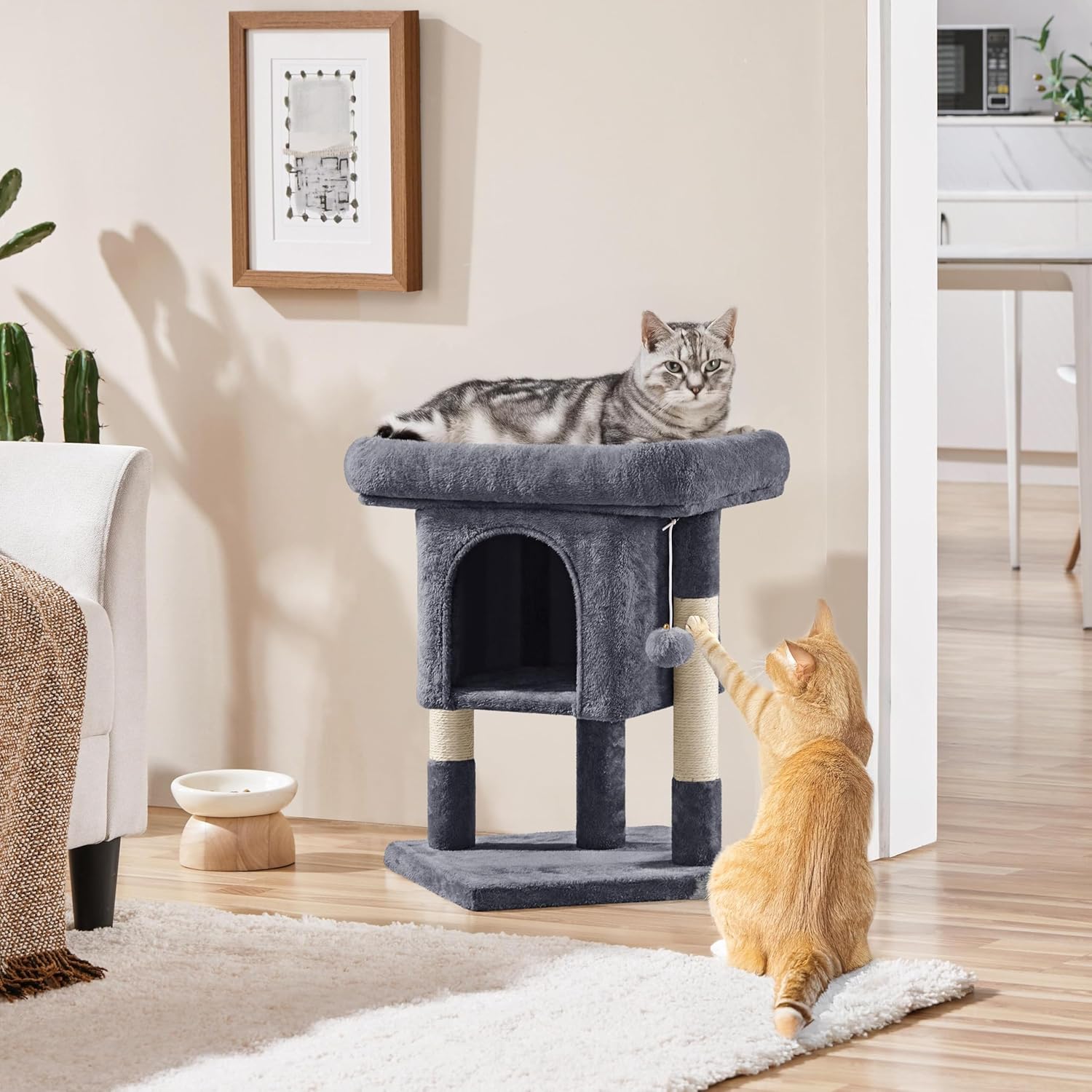 Compact Cat Tree with Condo, Perch & Sisal Scratching Posts – GreyCat Scratching PostKittyMart