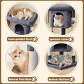 Compact Cat Tree with Condo, Perch & Sisal Scratching Posts – GreyCat Scratching PostKittyMart
