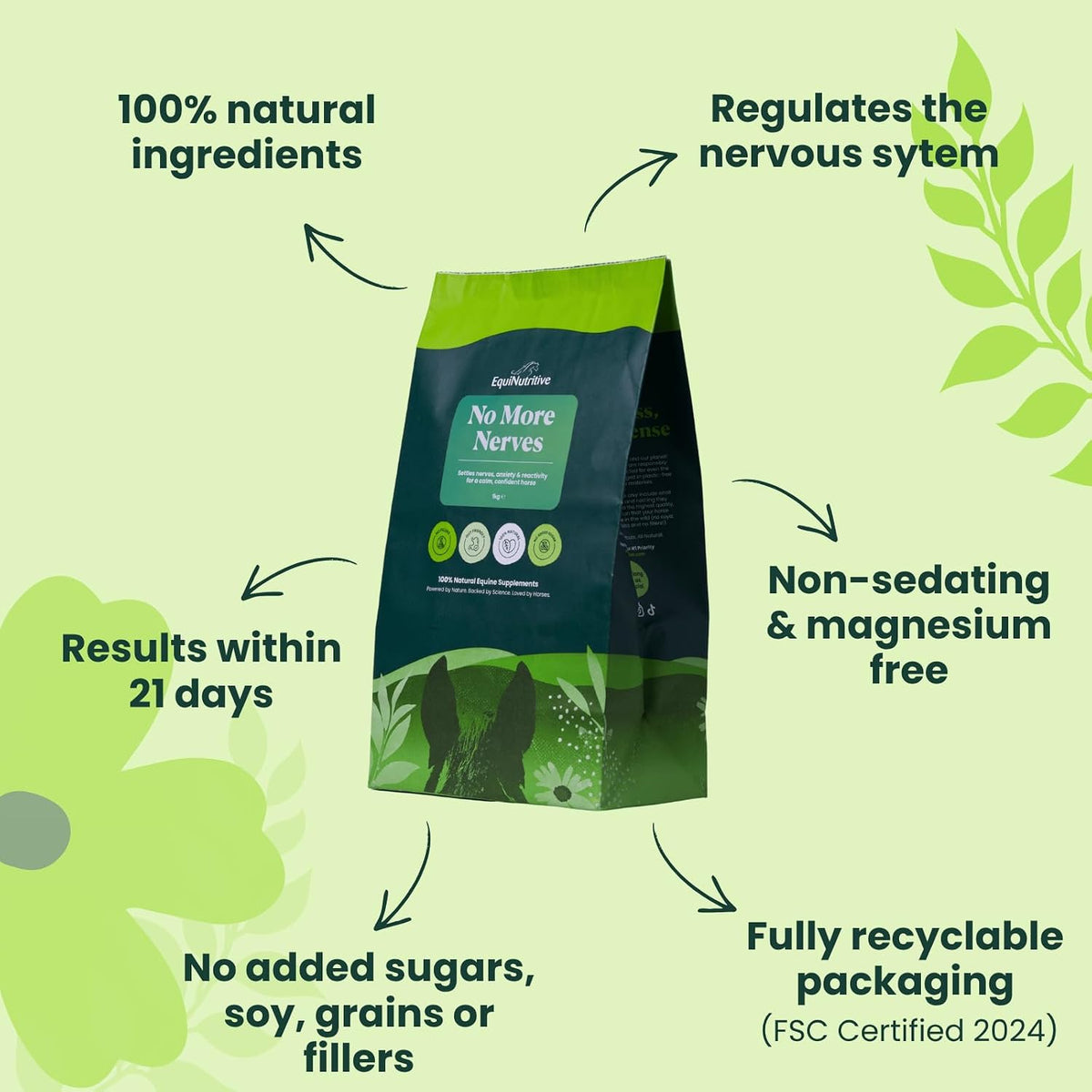 Equinutritive - No More Nerves - Calming Supplement For Horses - 1kgEquine FeedKittyMart