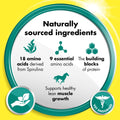 EQUITOP Myoplast - Muscle Supplement for Horses, 1.5 kgEquine FeedKittyMart
