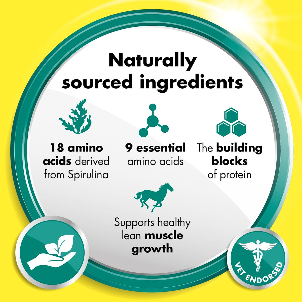 EQUITOP Myoplast - Muscle Supplement for Horses, 1.5 kgEquine FeedKittyMart