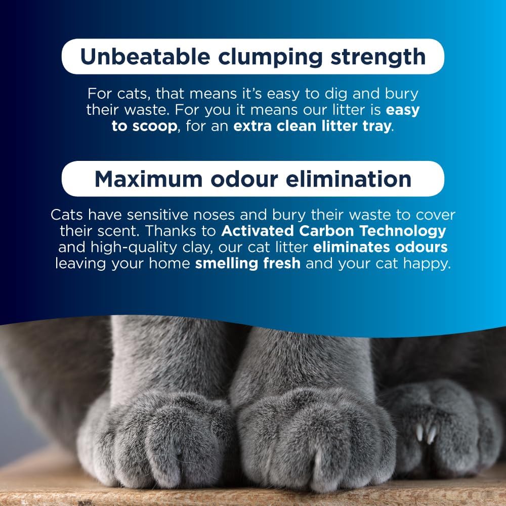 Ever Clean Lavender Clumping Cat Litter 20LKittyMart