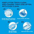 Ever Clean Lavender Clumping Cat Litter 20LKittyMart