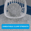 Ever Clean Multiple Cat Clumping Cat Litter 20LKittyMart