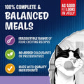 FELIX As Good As it Looks Kitten Mixed Selection in Jelly Wet Cat Food 40x85gKittyMart