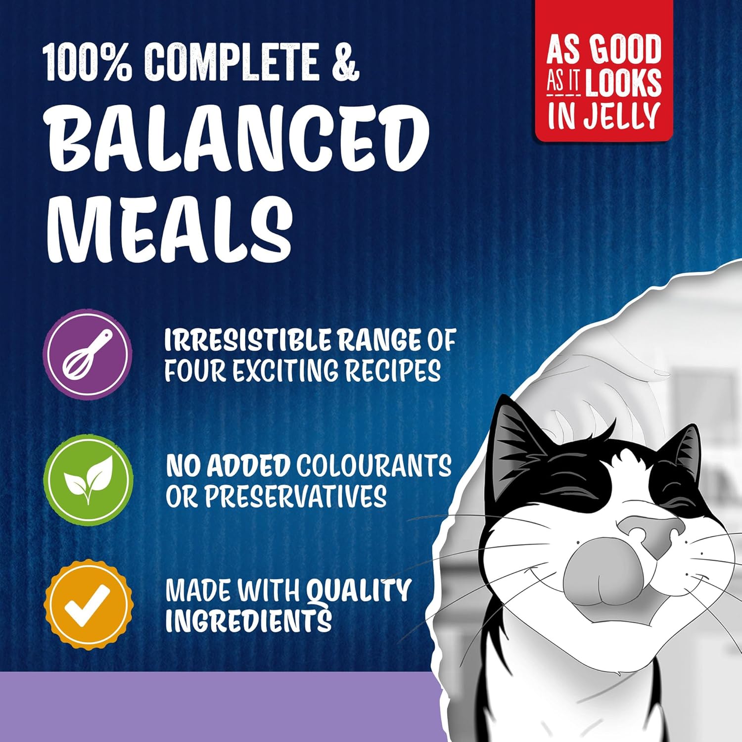 FELIX As Good As it Looks Kitten Mixed Selection in Jelly Wet Cat Food 40x85gKittyMart