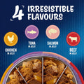 FELIX As Good As it Looks Kitten Mixed Selection in Jelly Wet Cat Food 40x85gKittyMart