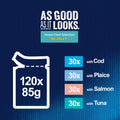 FELIX As Good As It Looks Ocean Feasts in Jelly - Wet Cat Food | 120 Pouch Megapack |KittyMart