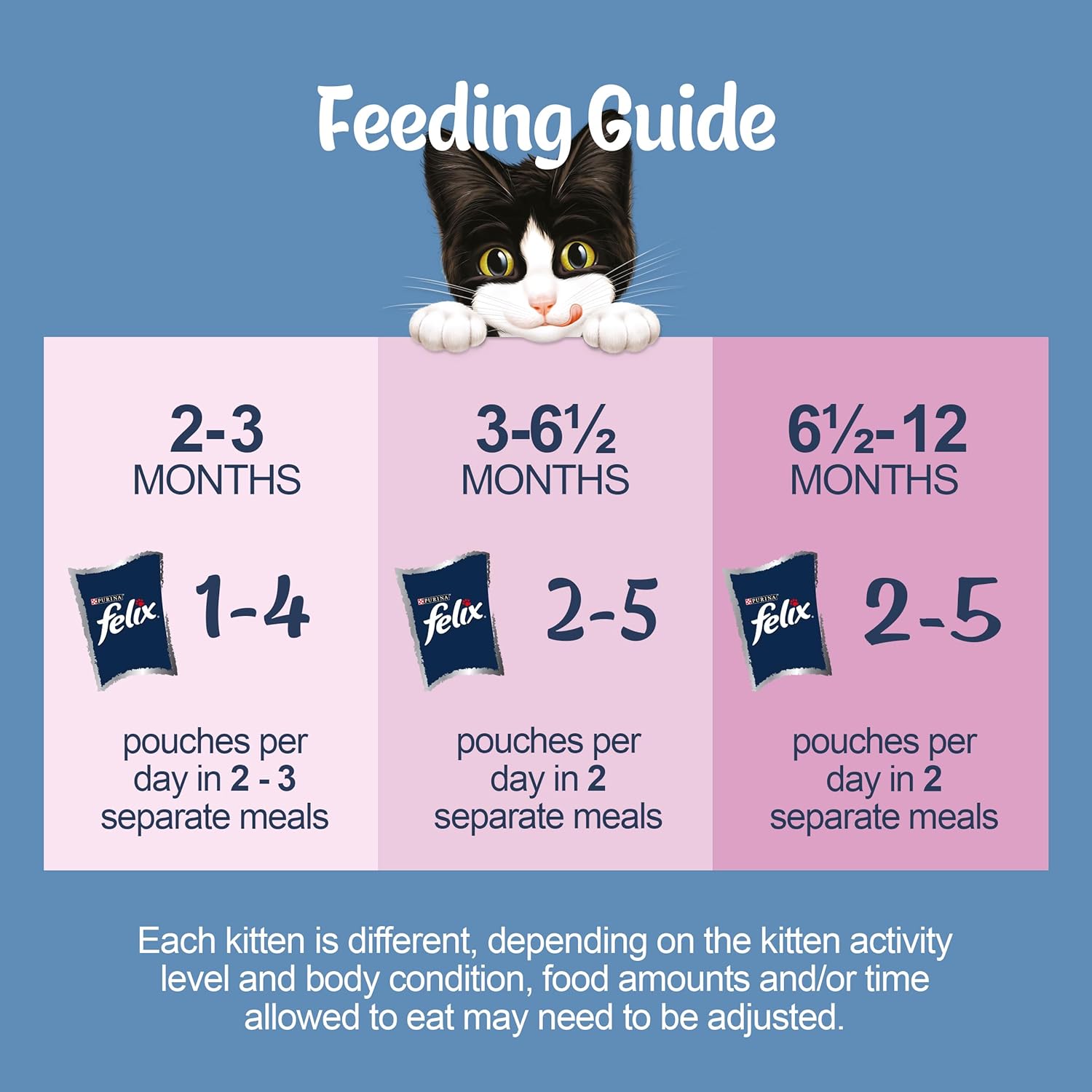 FELIX ORIGINAL Kitten Fish Selection in Jelly - Wet Cat Food | 12 Pouch [Pack of 4] |KittyMart