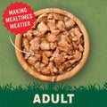 Harringtons Complete Grain - Free Adult Cat Food – Meaty Selection in Gravy Bumper PackKittyMart
