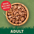 Harringtons Complete Grain - Free Adult Cat Food – Mixed Selection in Jelly Bumper PackKittyMart