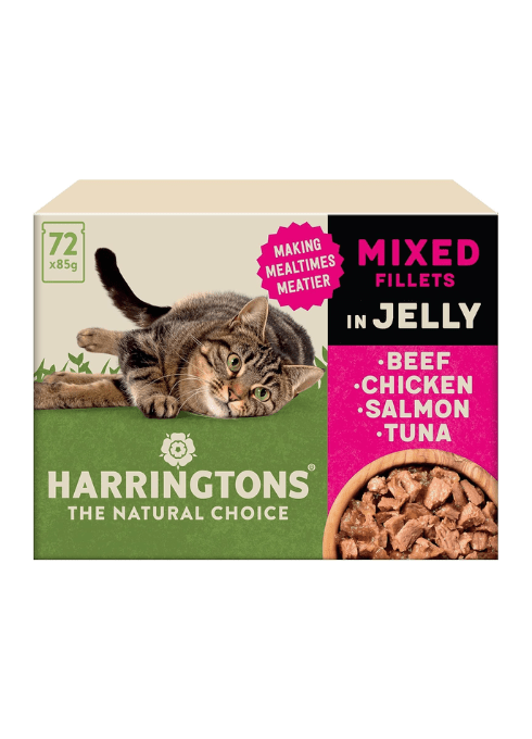 Harringtons Complete Grain - Free Adult Cat Food Mixed Selection in Jelly MegaPackKittyMart