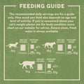 Harringtons Complete Grain - Free Adult Cat Food Mixed Selection in Jelly MegaPackKittyMart