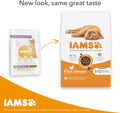 IAMS Complete Dry Kitten Food with Chicken 10kgKittyMart