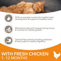 IAMS Complete Dry Kitten Food with Chicken 10kgKittyMart