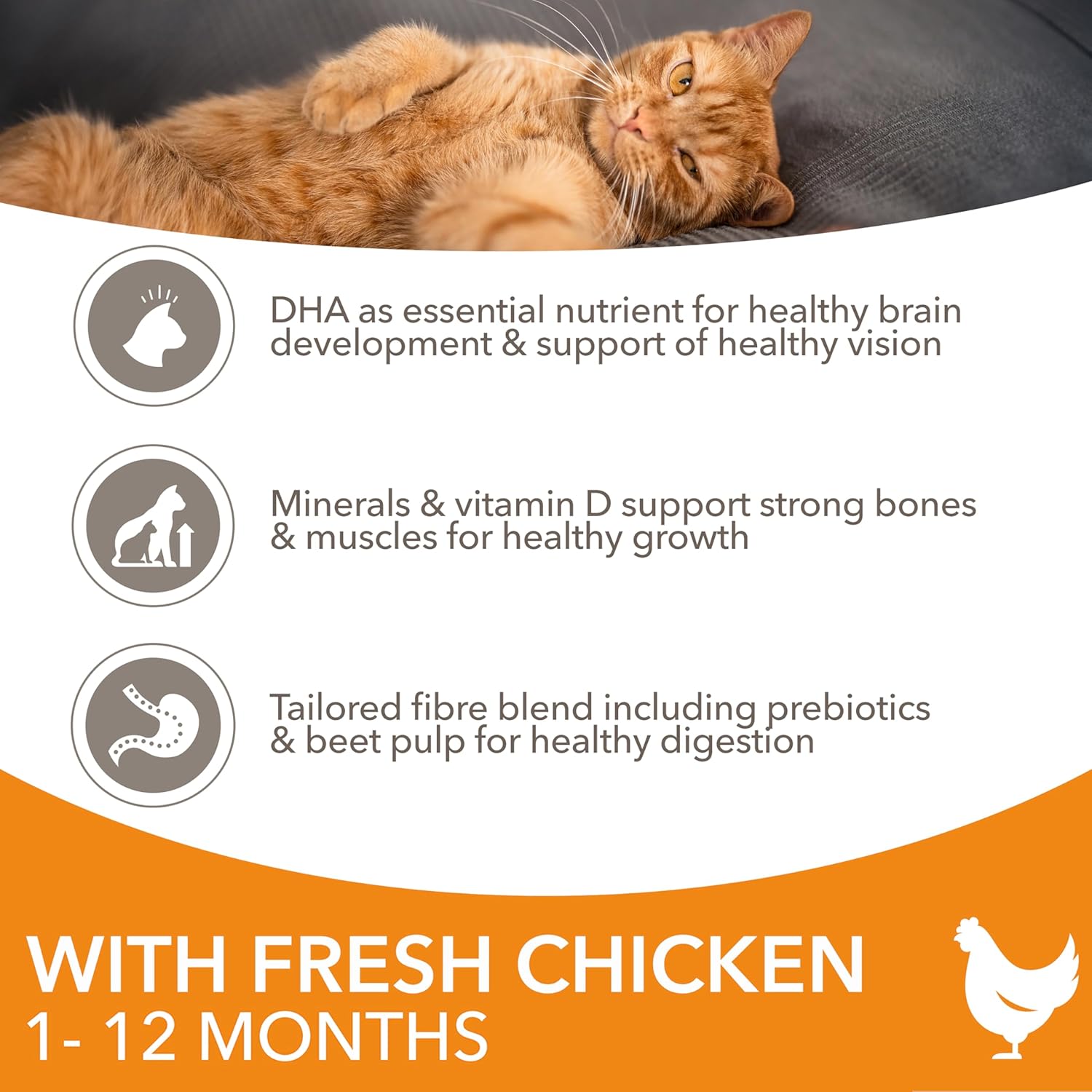 IAMS Complete Dry Kitten Food with Chicken 10kgKittyMart