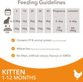 IAMS Complete Dry Kitten Food with Chicken 10kgKittyMart
