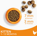 IAMS Complete Dry Kitten Food with Chicken 10kgKittyMart