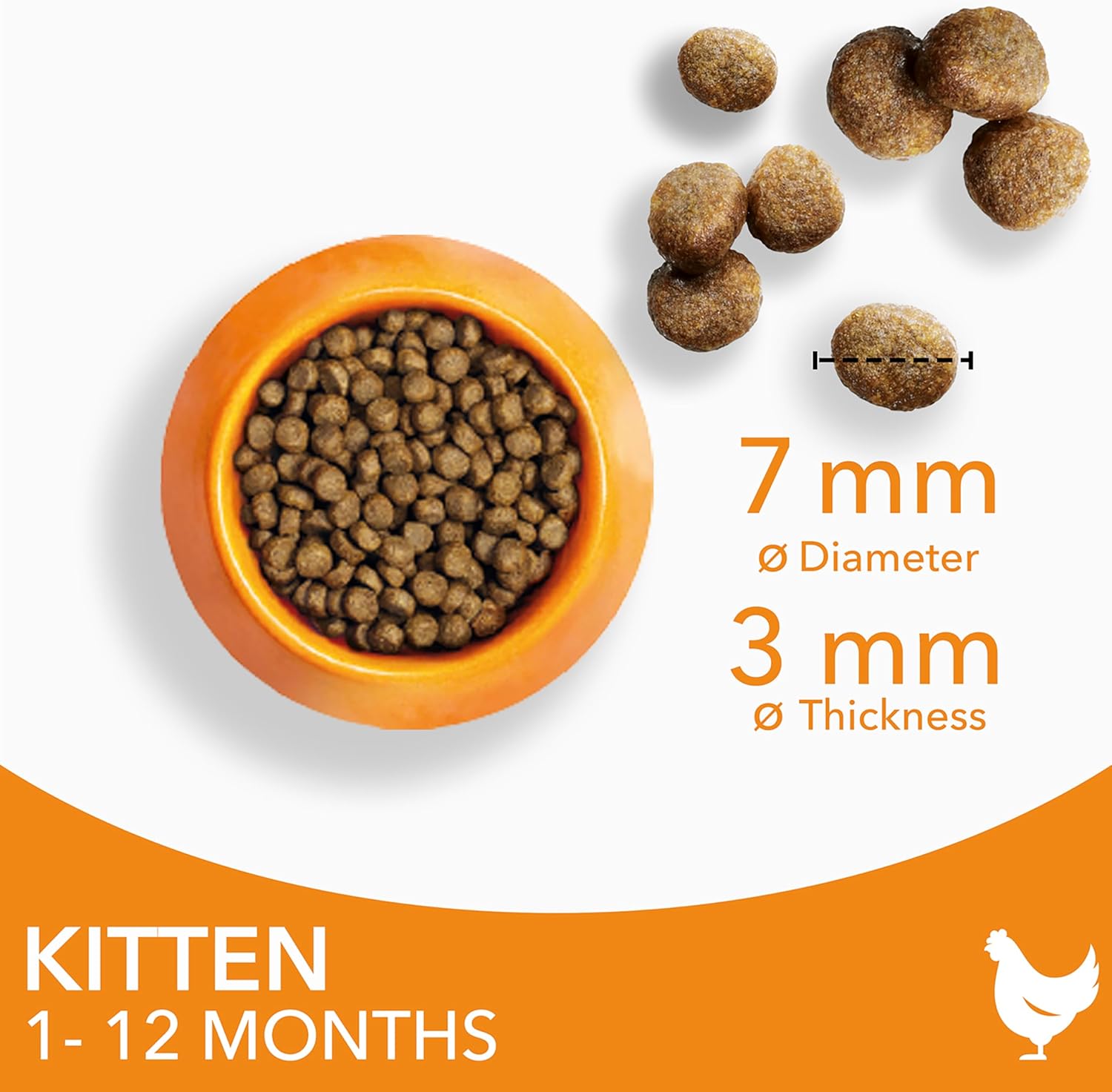 IAMS Complete Dry Kitten Food with Chicken 10kgKittyMart