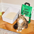 KatKin Scoop Planet Clumping Cat Litter 4 x 4.5kg (12.8L)KittyMart