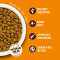 Lily's Kitchen Chicken - Natural Ingredients Grain - Free - Dry Cat Food | 2kgKittyMart