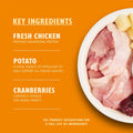 Lily's Kitchen Chicken - Natural Ingredients Grain - Free - Dry Cat Food | 2kgKittyMart