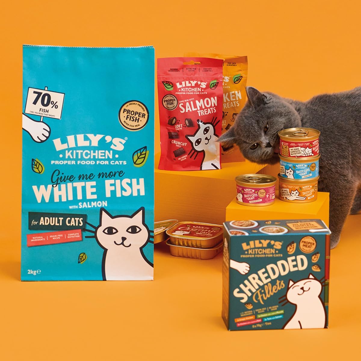 Lily's Kitchen White Fish and Salmon - Natural Ingredients Grain - Free - Dry Cat Food | 4kgKittyMart