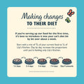 Lily's Kitchen White Fish and Salmon - Natural Ingredients Grain - Free - Dry Cat Food | 4kgKittyMart