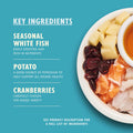 Lily's Kitchen White Fish and Salmon - Natural Ingredients Grain - Free - Dry Cat Food | 4kgKittyMart