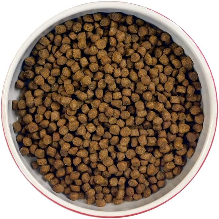 Meowing Heads Smitten Kitten – Dry Cat Food for KittensKittyMart