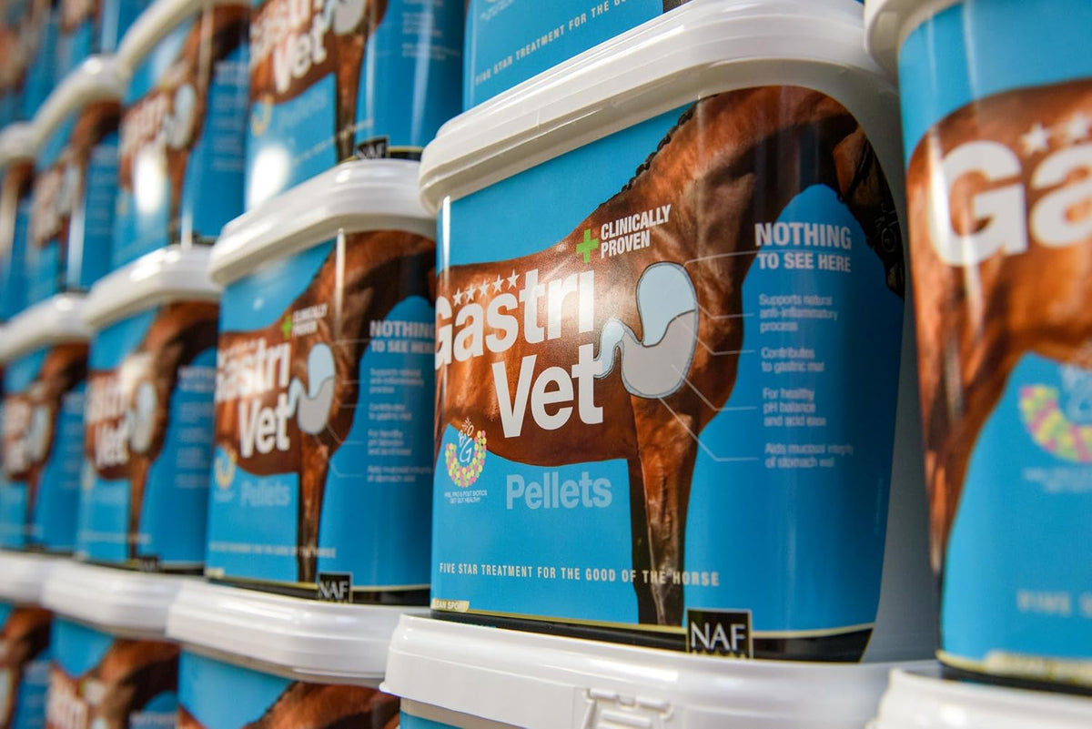 NAF Five Star GastriVet – Advanced Stomach Support for Horses 4kgEquine FeedKittyMart