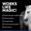 NAF Five Star Magic – Advanced Calming Supplement for Horses - 1.5kgEquine FeedKittyMart