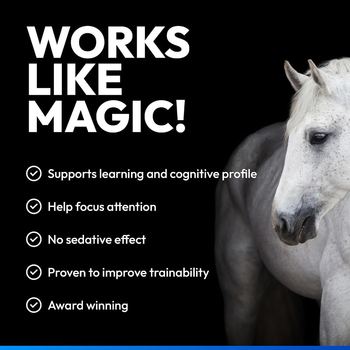 NAF Five Star Magic – Advanced Calming Supplement for Horses - 1.5kgEquine FeedKittyMart