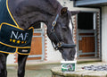 NAF Five Star Superflex Senior 660g- Joint Supplement for HorsesEquine FeedKittyMart