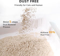 Natural Clumping Cat Litter Pellets – Dust - Free, Flushable & Odour ControlKittyMart