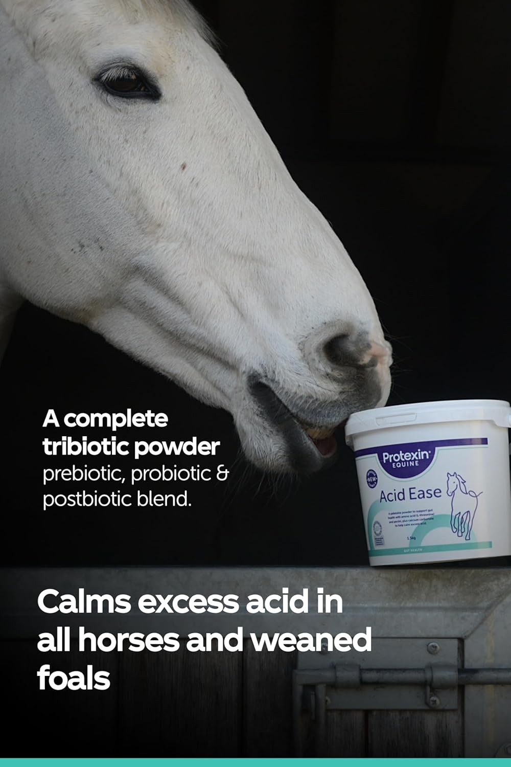 Protexin Equine Acid Ease, Calms Gastric Acid, Horses & Foals, 3kg PowderEquine FeedKittyMart
