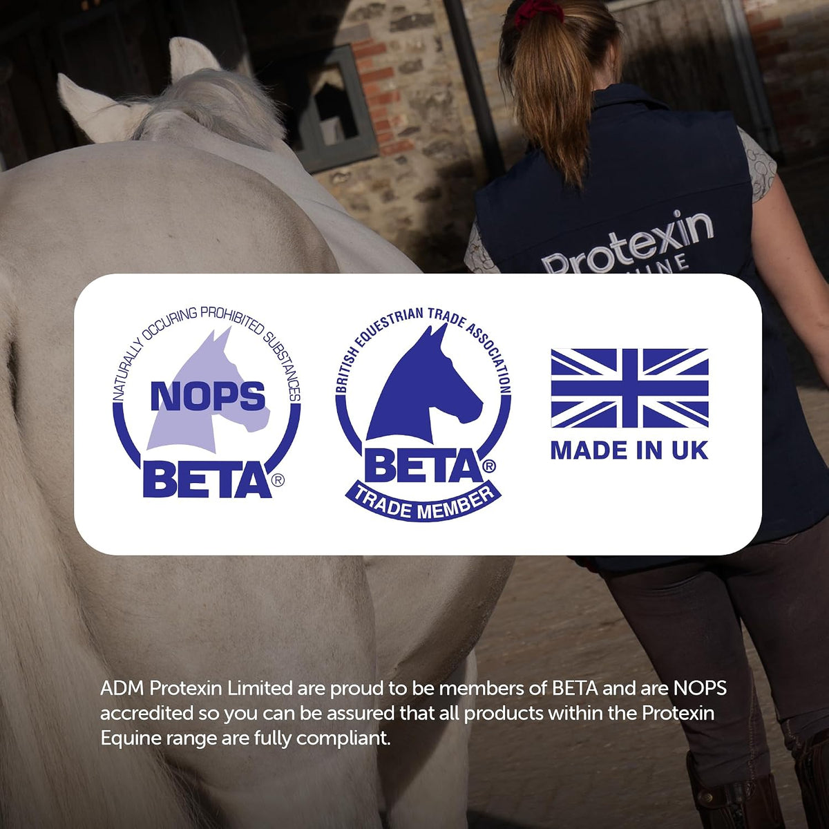 Protexin Equine Gut Balancer, Daily Gut Support, Horse & Pony, 7kg PowderEquine FeedKittyMart