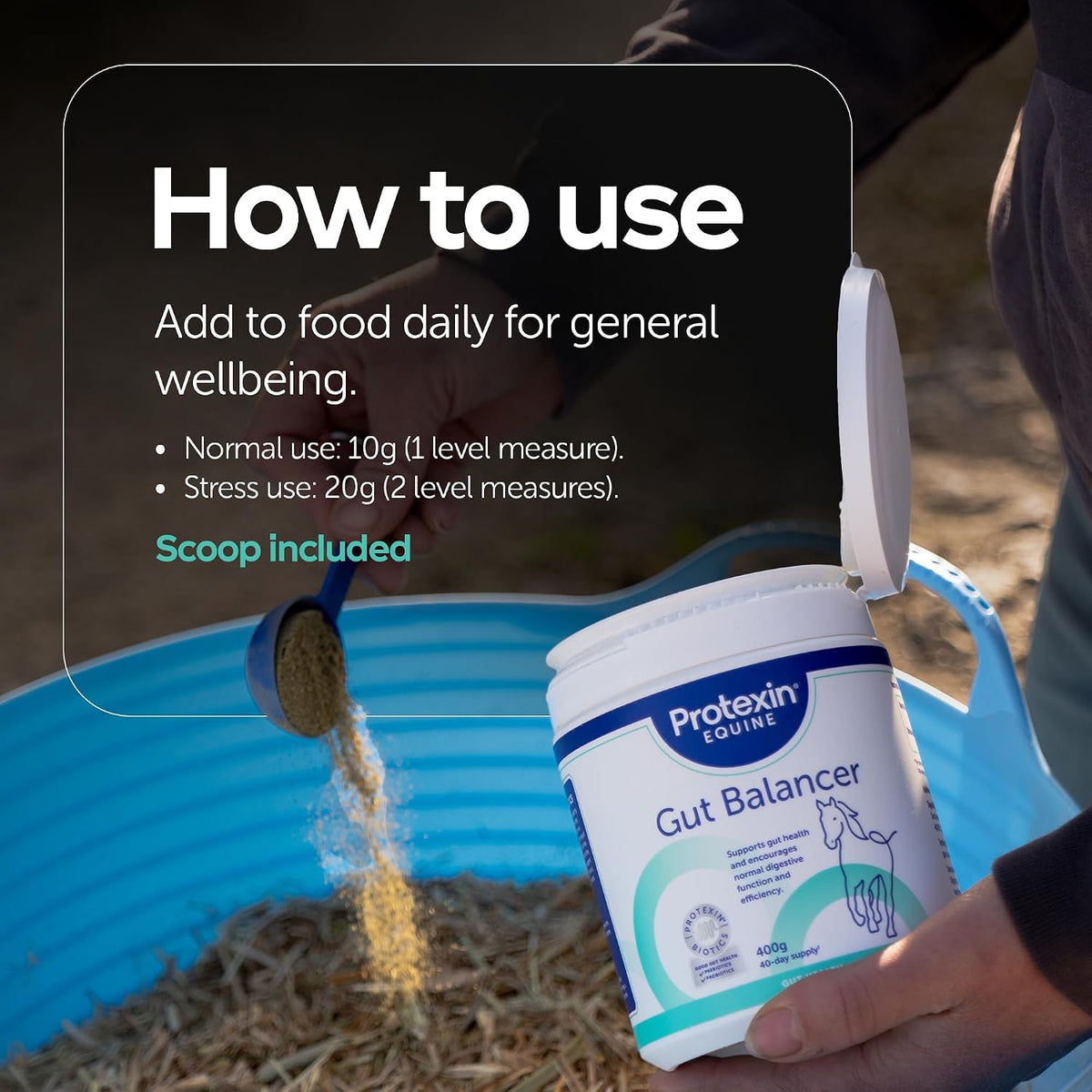 Protexin Equine Gut Balancer, Daily Gut Support, Horse & Pony, 7kg PowderEquine FeedKittyMart