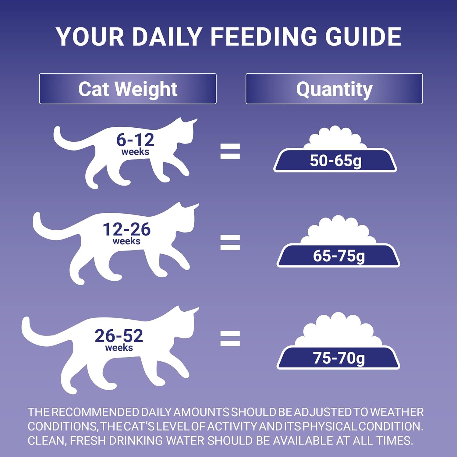 Purina ONE Kitten Dry Cat Food with Chicken & Wholegrain 750g (Pack of 4)KittyMart