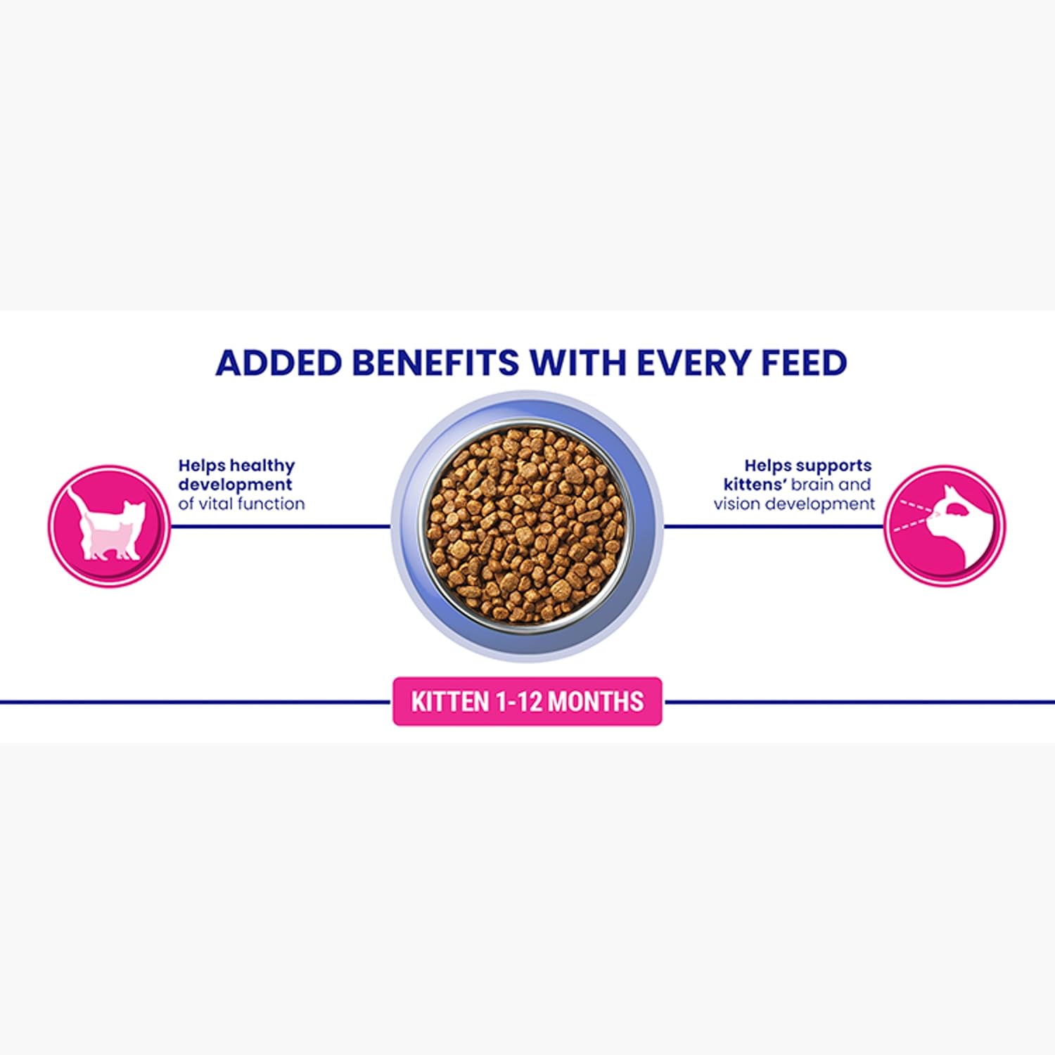 Purina ONE Kitten Dry Cat Food with Chicken & Wholegrain 750g (Pack of 4)KittyMart