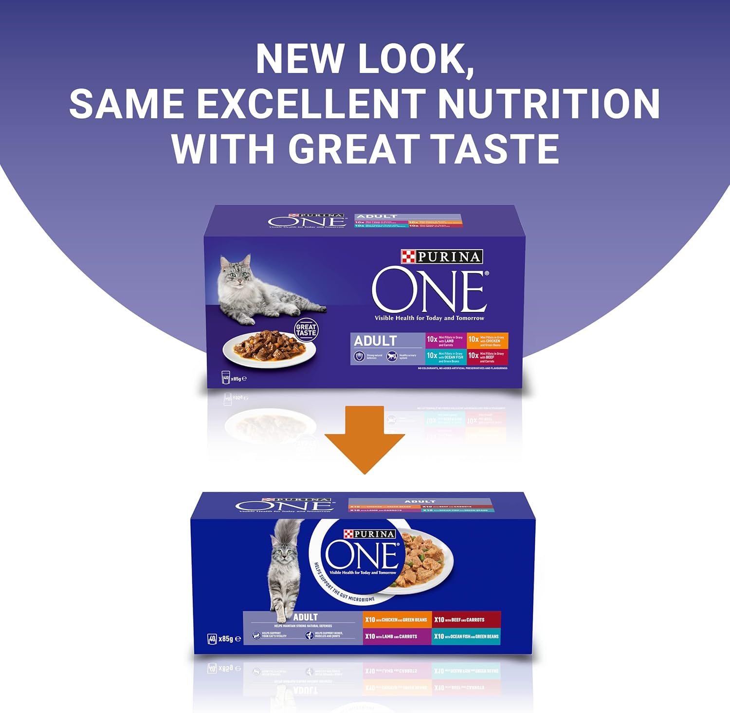 PURINA ONE Mini Fillets Mixed Selection in Gravy - Wet Cat Food | 80 Pouch MegaPack |KittyMart