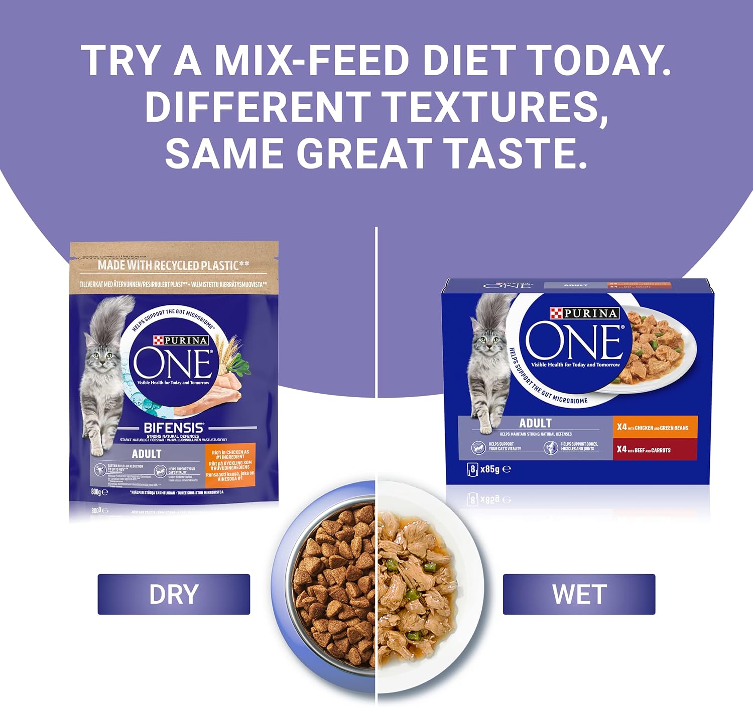 PURINA ONE Mini Fillets Mixed Selection in Gravy - Wet Cat Food | 80 Pouch MegaPack |KittyMart