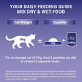 PURINA ONE Mini Fillets Mixed Selection in Gravy - Wet Cat Food | 80 Pouch MegaPack |KittyMart