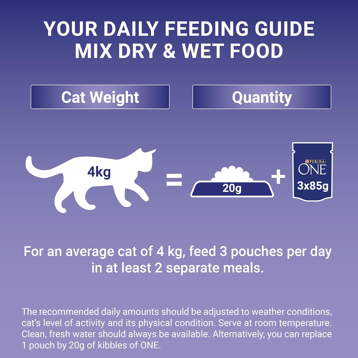 PURINA ONE Mini Fillets Mixed Selection in Gravy - Wet Cat Food | 80 Pouch MegaPack |KittyMart