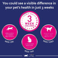 PURINA ONE Rich in Chicken - Adult Dry Cat Food | 12kgKittyMart