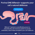 PURINA ONE Rich in Chicken - Adult Dry Cat Food | 12kgKittyMart