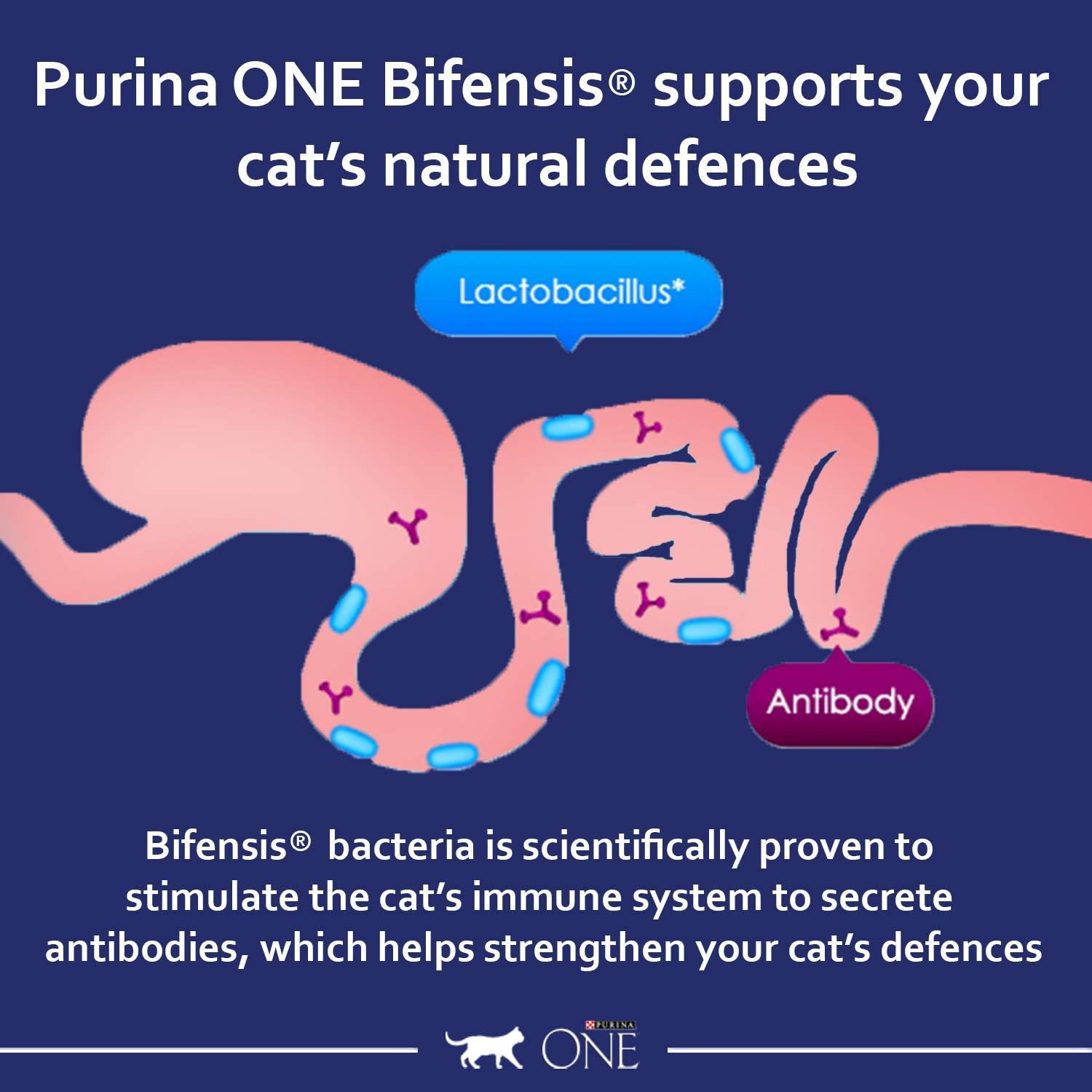 PURINA ONE Rich in Chicken - Adult Dry Cat Food | 12kgKittyMart