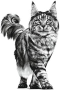Royal Canin Renal Veterinary Wet Cat Food Chicken 48x85g - Kidney SupportKittyMart